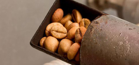 R&ouml;stitud kohvioad - Tumedam r&ouml;st sisaldab v&auml;hem kofeiini