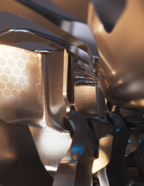 &Auml;&auml;rmiselt nahal&auml;hedane